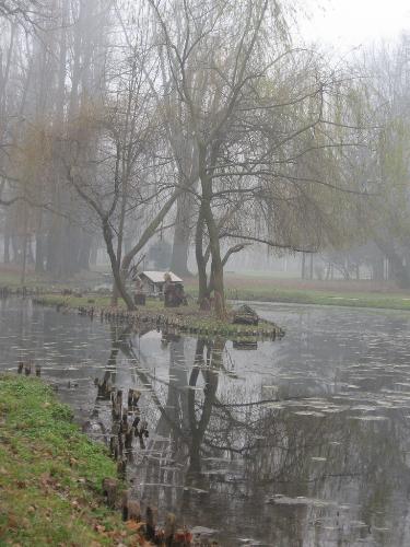 cool picture - a dense fog and in the fog a very small house