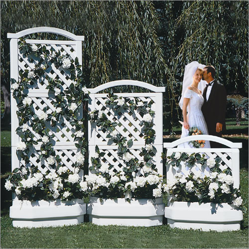 Wedding rentals - Screens