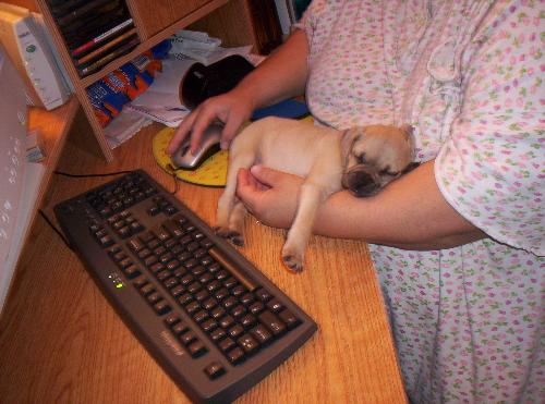 Baby Chewy - He was only 5 weeks old in this picture.