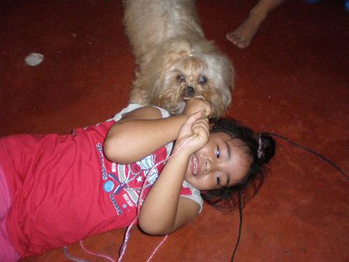 Balto With Angel - Balto, our super-active shih-tzu, tugging a rope with our 5-year old Angel.