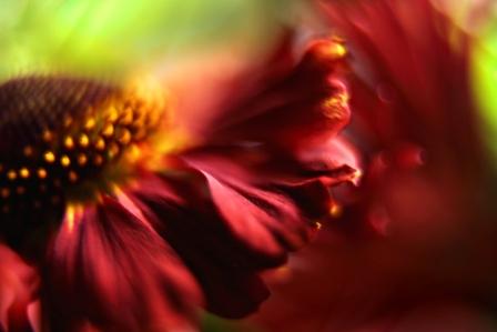 Beauty in the beholder's eye - Beauty is all around u...its also inside u :)