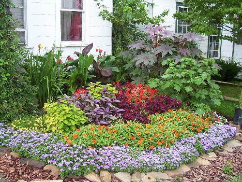 Flower bed with Ricinus communis - The Ricinus is in the back right.
