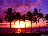 Hawaii - Beautiful picture of a Hawaii Sunset.