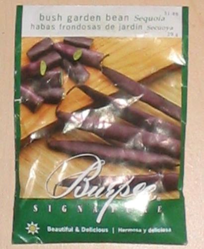 Purple Bean Seed Packet -  This is the packet of seeds that I planted to get my purple beans in the KFC chicken bucket.