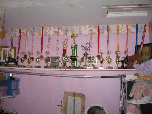 15 year old's trophy shelf - This is a shelf of trophies and medals my daughter has acquired over the years of sports participation.