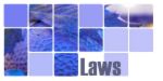Dumb Laws on the books - Just Laws