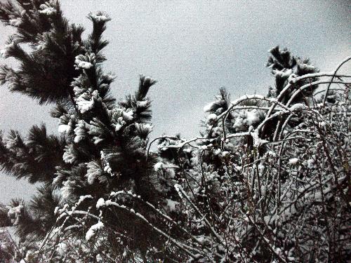 snow - very nice snow