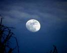moon - beauty of nature