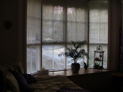 My front room - My front room in my coburg house