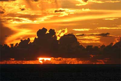 Golden Sunrise - A beautiful shot of a golden sunrise, almost painterly.