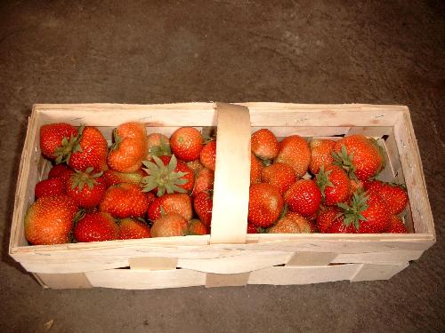natural vitamins - best source for vitamins
