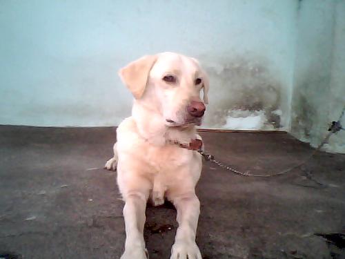 my baby - my baby making some pose