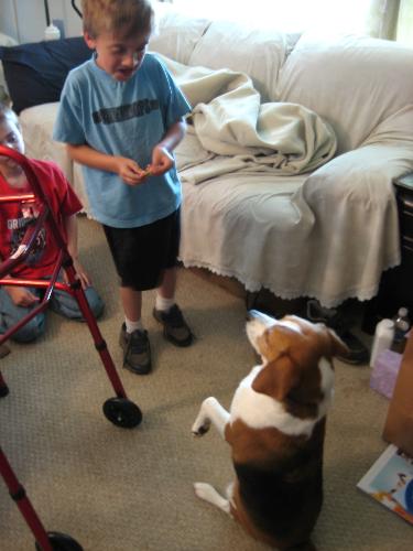 Sitting Pretty - Buster loves doing his tricks for the treats.