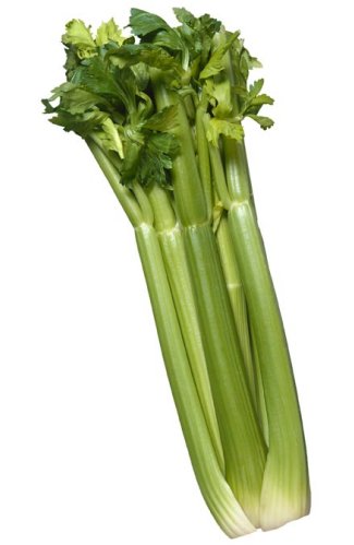 celery - celery helps us to burn weight faster!