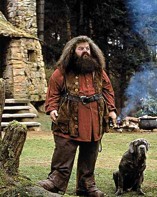 harry potter - portrait of Hagrid the half-giant from the harry potter series by J.K. Rowling. This is a shot from one of the Hollywood films.