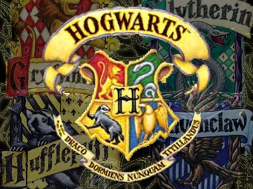 harry potter - The hogwarts emblem: school of witchcraft and wizardry