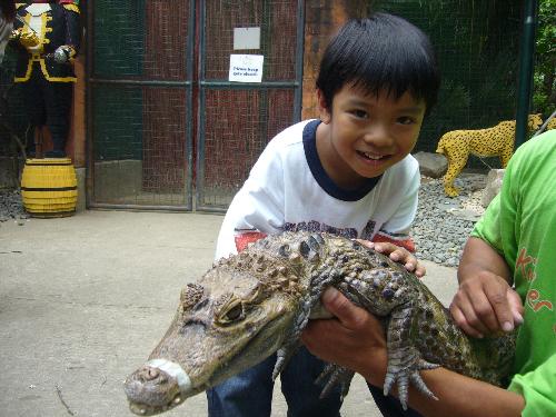 migo and the crocodile - migo was forced to touch the crocodile because i wanted to take his picture with it. haha!
