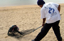 Beach catch of Bali Dogs - Beach catch of Bali Dogs image