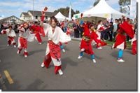 Japanese culture - Sakura Festival. that theme of this festival is the cherry blossoms, while there are also food stalls selling traditional food.
