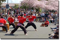 Sakura Festival - Good preformances for sakura Festival, I like that nice view, full with sakura! pink and lovely flower!