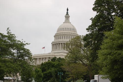 Capitol Hill - Our Nation's Capitol. Taken by Stephanie Partridge 2008.