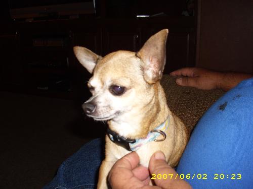 Tangie - My Mama's baby girl