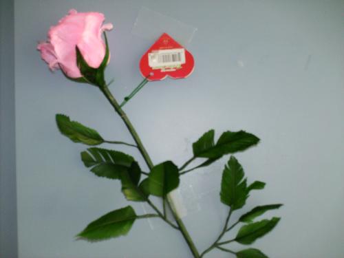 Pink Feather Rose - Mama's Pink Feather Rose. Made completely of feathers. Mama loved it.