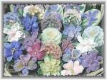 my favorite flowers - these are the colors of flowers i like