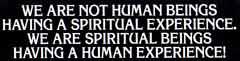 Spiritual Beings... - Don't have a religion, have a spirituality.