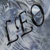 LEo - My name.