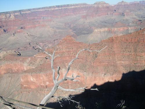 Grand Canyon - Grand canyon