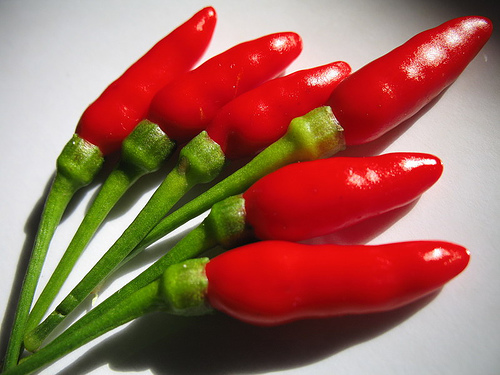Do you like spicy food? - Pictures of some red hot chilies. Photo source: http://farm1.static.flickr.com/49/142216551_9ca0551c20.jpg?v=0 .