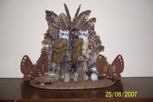 Owls from my collection - I love owls and collect them. This photo was taken of just a couple of the many i have. I also collect butterflies and in this photo there are a couple of them as well.