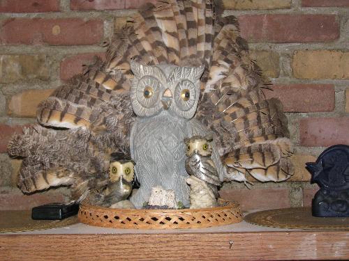 Photo of grey owls from my owl collection - This photo shows some of the many owls I have in my collection. The feathers were a gift from a Native elder.