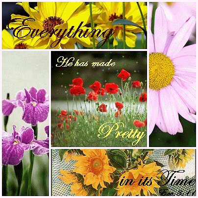 Floral Scripture Graphic - Another scripture graphic I made with flowers and Ecc. 3:11 on it.