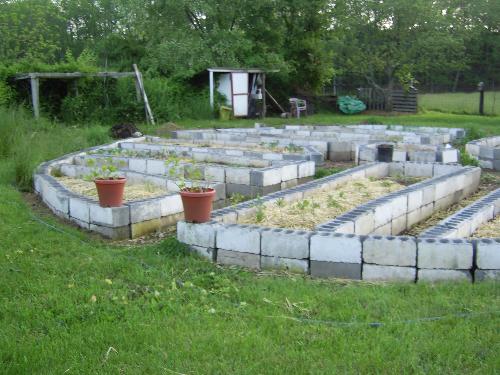 Just before completion of phase 1 - Can you tell which are the paths inside the garden? Picture them vibrant green! It's Dutch clover so it doesn't get too high, but will make a nice plush carpet of softness under our feet as we're gathering tomatoes or whatever.