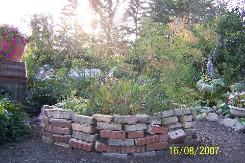 Herb wheel in our garden - My hubby and I made this herb wheel garden from recycled bricks we found at the dump. We plant herbs in it and eat them fresh all summer then dry and crush them for use in the winter.