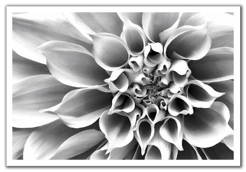 beautiful - don't you think it is beautiful?