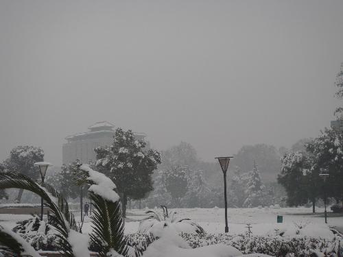 my University - Just enjoy the beauty of my university which belongs to the most beautiful university all over the world