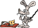 Mouse - Mouse with cheese.