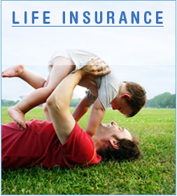 Insurance - insurance..