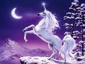 unicorn - beautiful unicorn late at night.