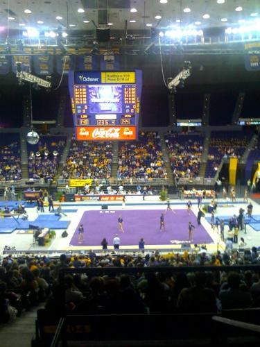 LSU gymnastics - A shot from LSU gymnastics meet this past season.