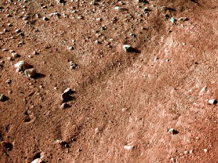 Mars Surface - From the Phoenix camera.