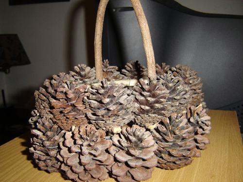 Pine Cone Basket - This is a basket made with pine cones. I didn't make it. I bought it at a store several years ago, but I'm sure someone creative would be able to make one. I paid $20 for this one and it's pretty small.