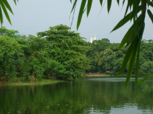 View - Lake in QC