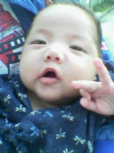 My Baby Boy -  He was born premature last Feb. 11, 2008 and he was really small back then. Now, on his 3rd month, he has gained a lot and has become a healthy baby with so much promise. I'm very sure that all of our friend's and family's prayers were instrumental in helping him recover.