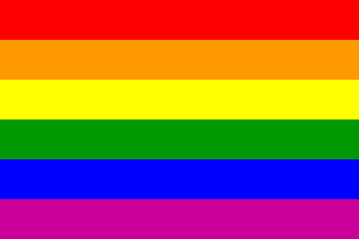 The Gay Flag - Picture of the gay pride flag. 