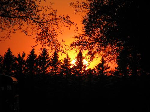 The simple pleasure of a magnificent sunset! - This photo was taken at the end of a walk with a friend at dusk. The magnificence of the sun against the pine trees was a perfect image to end a lovely outing...full of simple pleasures!
