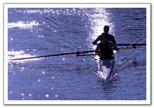 rowing  - view